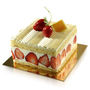 Fraisier  4 personnes
